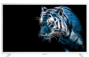 ремонт телевизора Panasonic TX-32FR250W